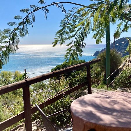 Villa Pietrafiore Monterosso al Mare Extérieur photo