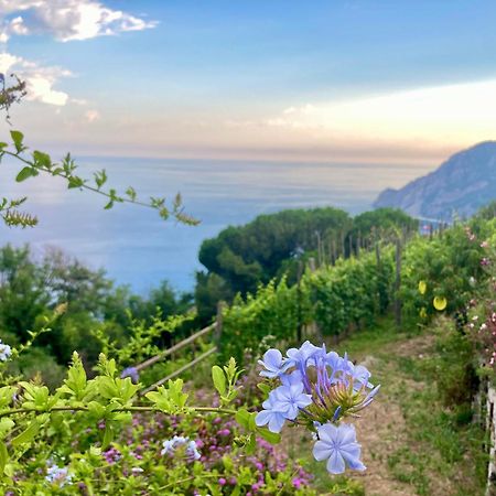 Villa Pietrafiore Monterosso al Mare Extérieur photo