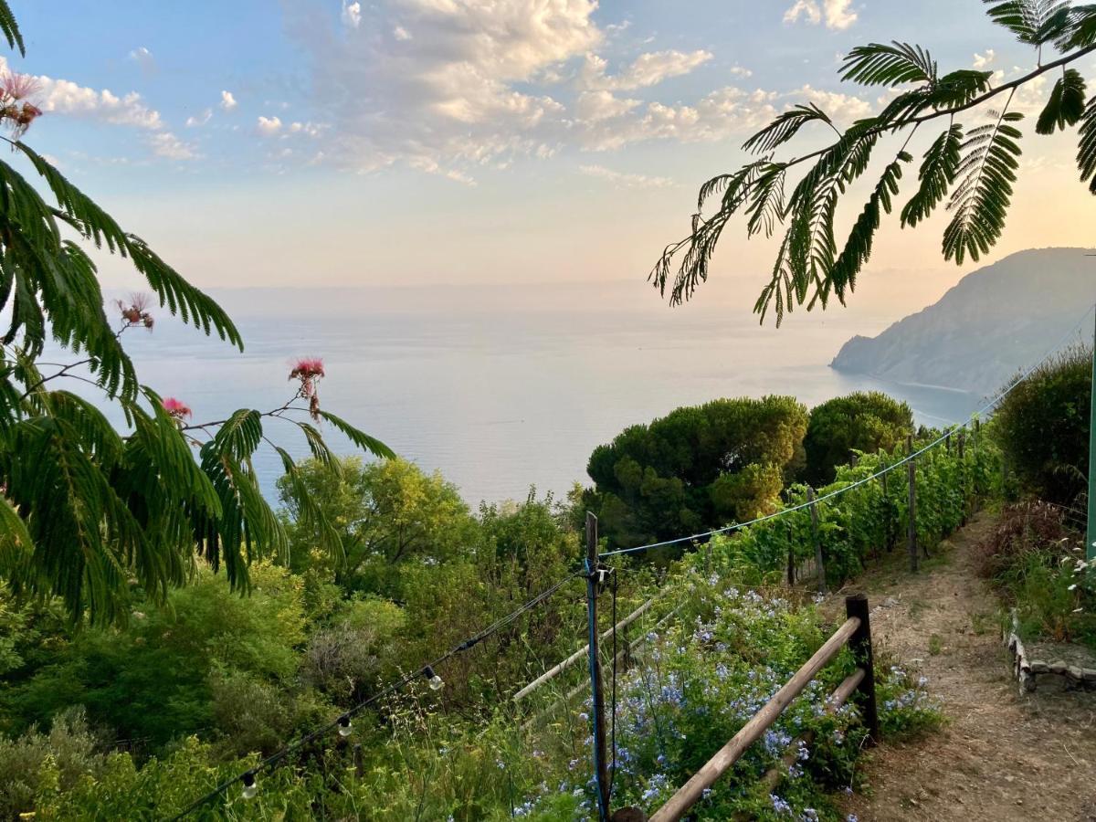 Villa Pietrafiore Monterosso al Mare Extérieur photo