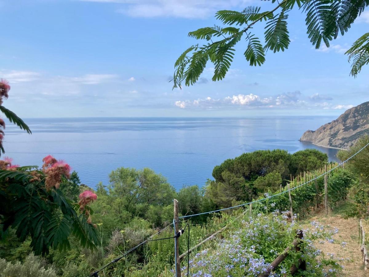 Villa Pietrafiore Monterosso al Mare Extérieur photo
