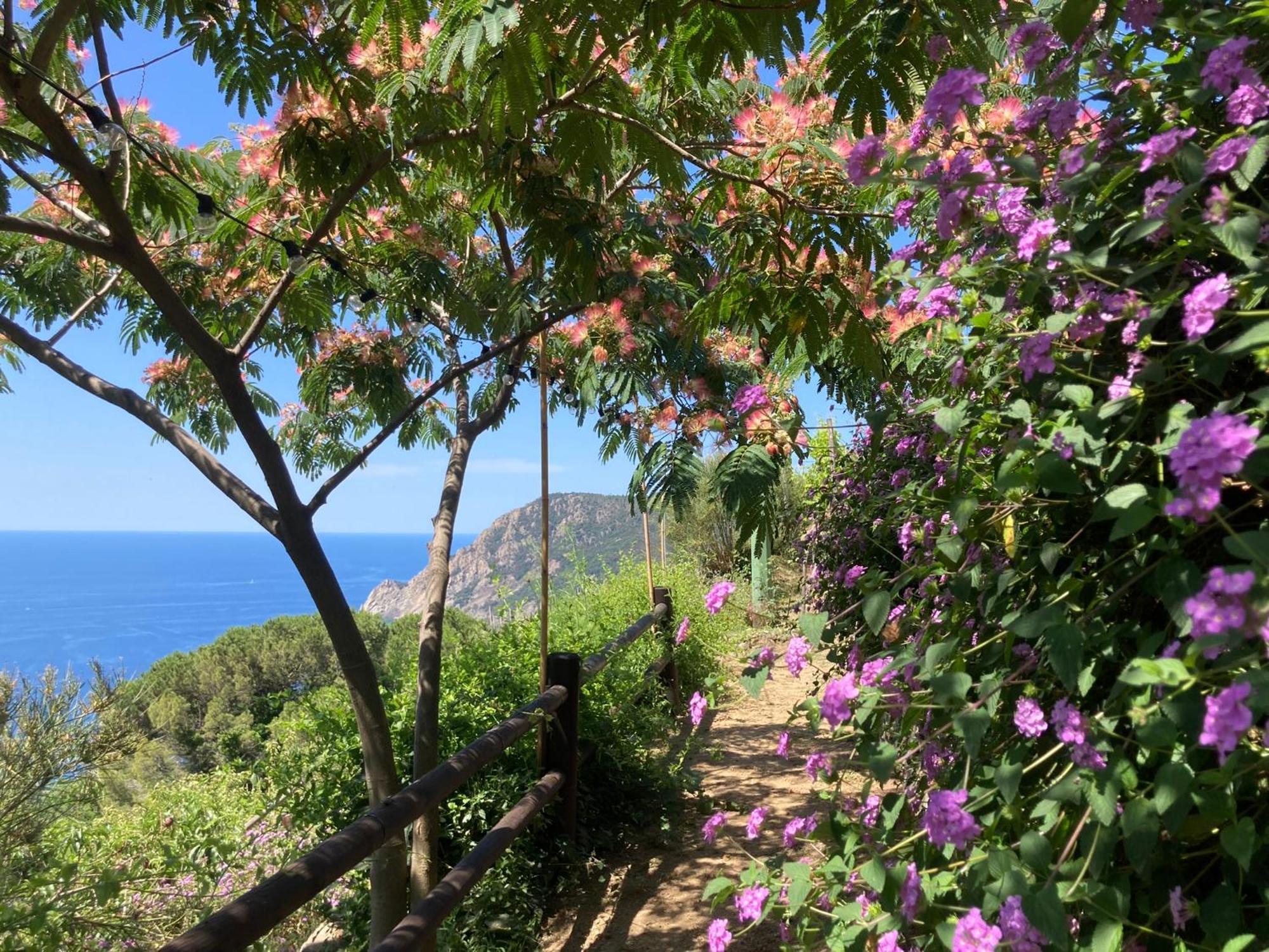 Villa Pietrafiore Monterosso al Mare Extérieur photo