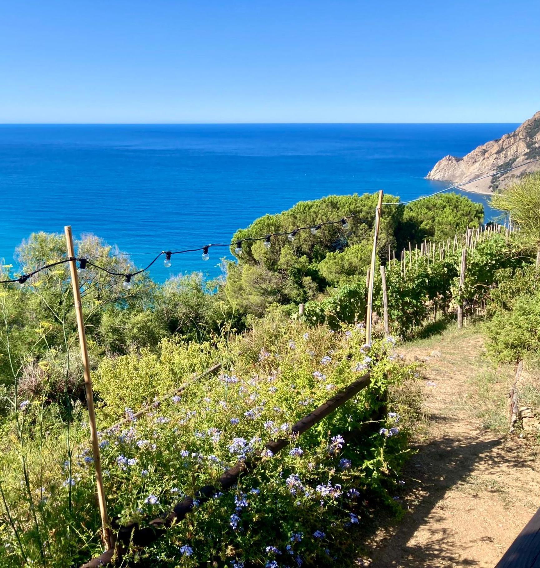 Villa Pietrafiore Monterosso al Mare Extérieur photo