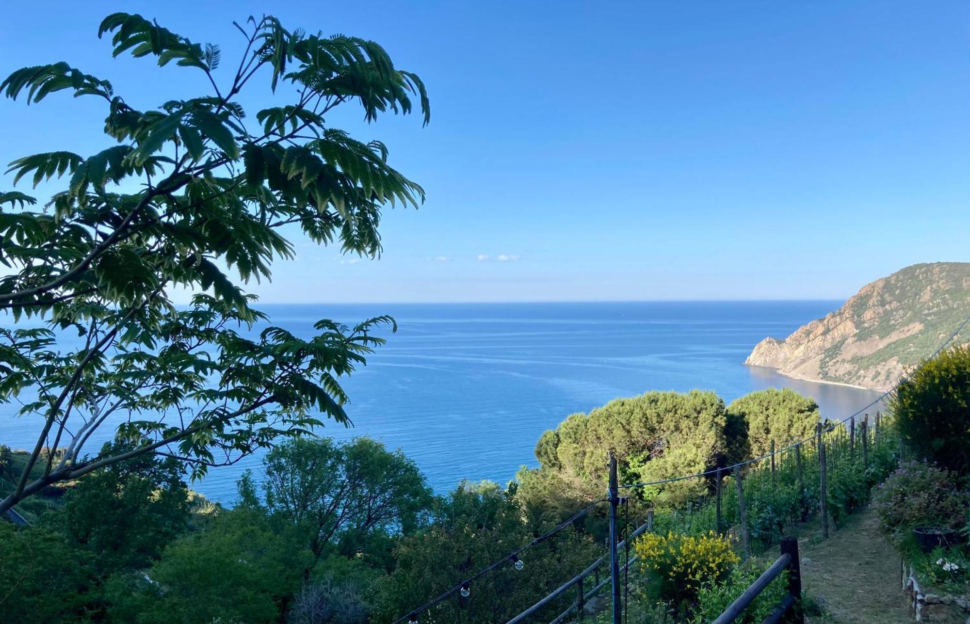 Villa Pietrafiore Monterosso al Mare Extérieur photo