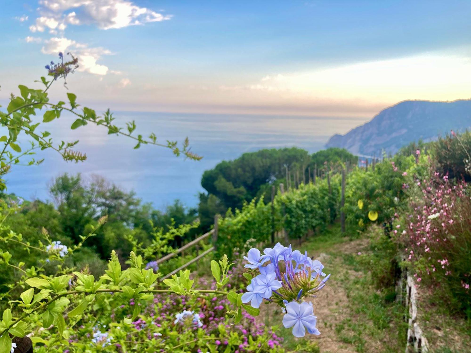 Villa Pietrafiore Monterosso al Mare Extérieur photo