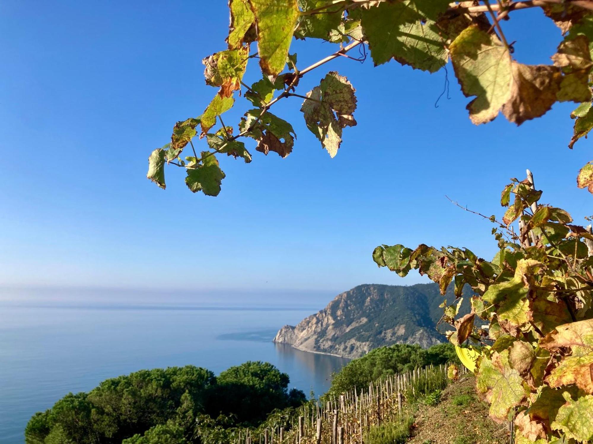 Villa Pietrafiore Monterosso al Mare Extérieur photo