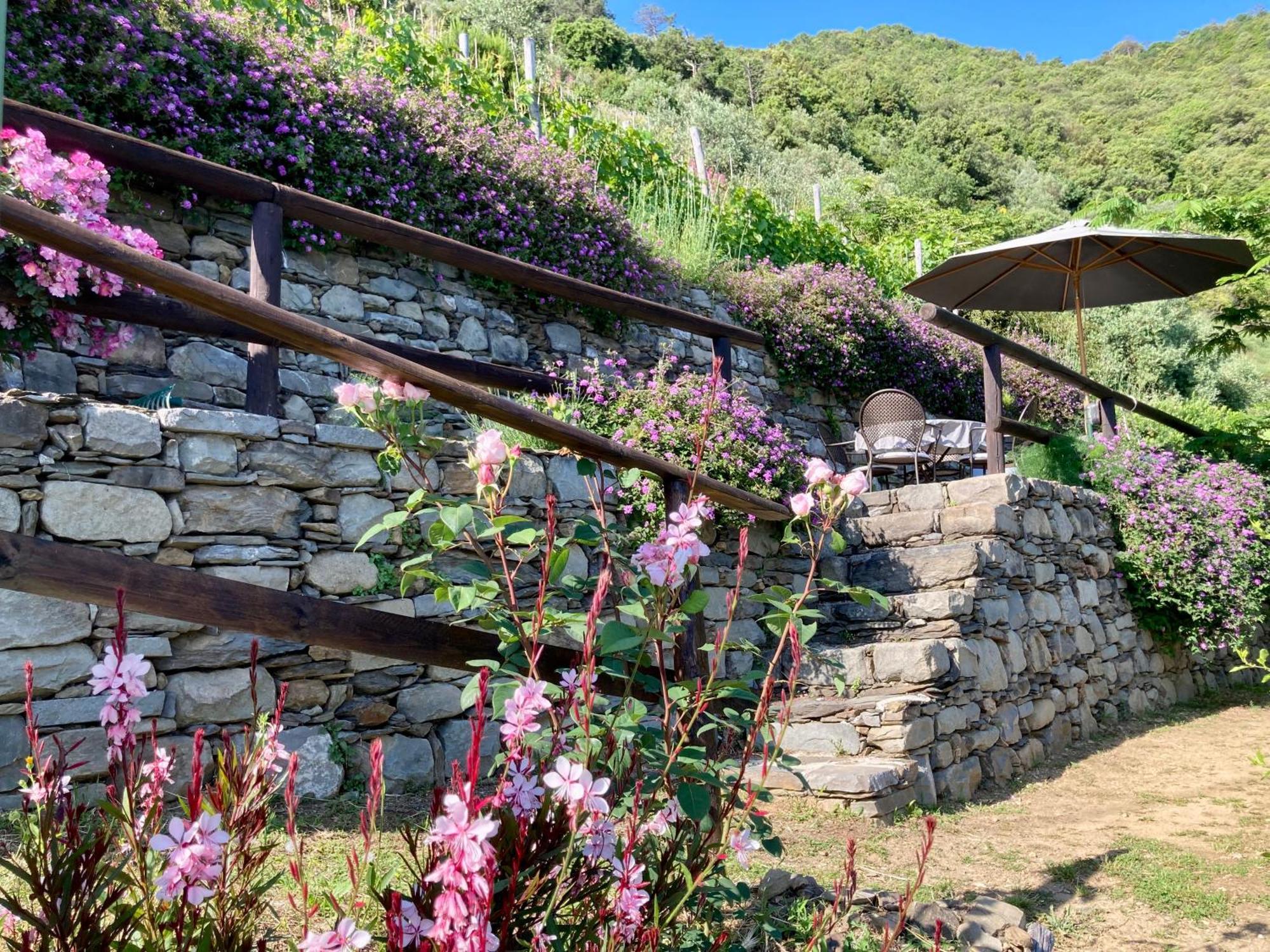 Villa Pietrafiore Monterosso al Mare Extérieur photo